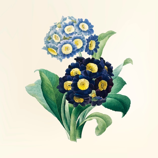 Vector gratuito ilustración de flor vintage