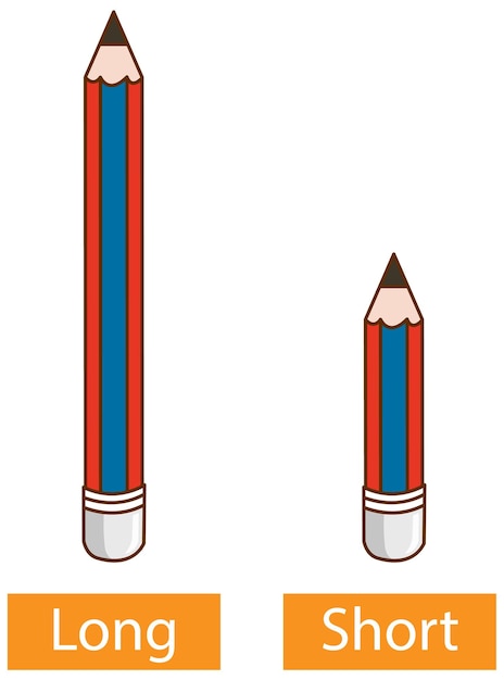 Vector gratuito palabras opuestas adjetivos con lápiz largo y lápiz corto sobre fondo blanco.