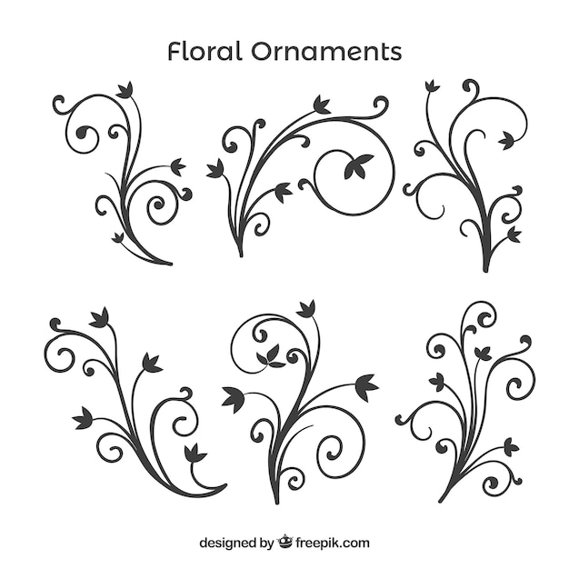 Vecteur gratuit paquet d'ornements floraux dessinés à la main