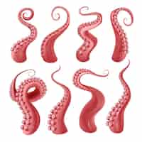 Vecteur gratuit pieuvre rouge ou tentacules de kraken avec ensemble réaliste de ventouses isolé à l'illustration vectorielle de fond blanc