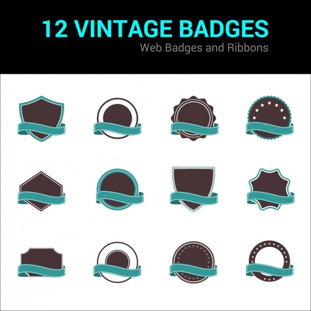Vecteur gratuit vintage collection badge