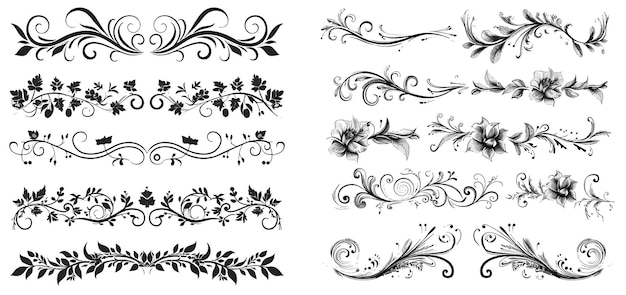 Vecteur Éléments de conception vectorielle et décorations de pages calligraphiques