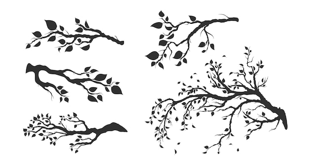 Vecteur ensemble de branches d'arbres avec des feuilles isolées