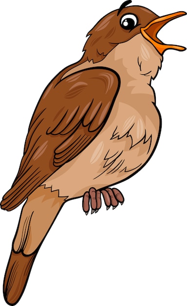Vecteur illustration de dessin animé oiseau rossignol