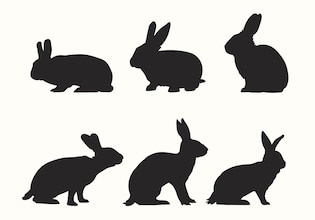 kaninchen silhouette