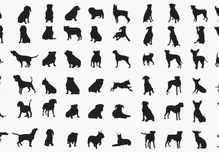 hund silhouette