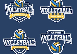 volleybal logo
