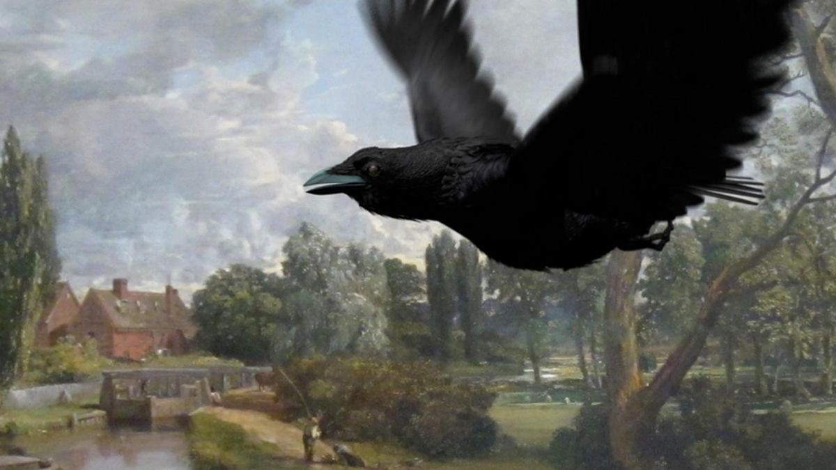 Video-Installation Andy Holden. Vögel hatten immer schon eine mystische Bedeutung.