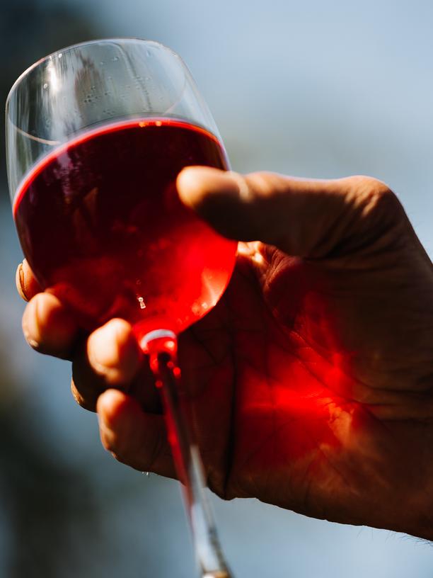 Weinfarbe: Was seine Farbe über einen Wein verrät