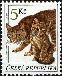 Domestic-Cat-Felis-silvestris-catus (1) (218x269, 42Kb)