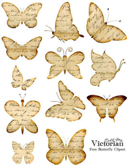 free-butterfly-clipart (540x700, 71Kb)