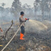 Fire fighters cooling burnt peatlands.