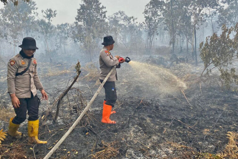 Fire fighters cooling burnt peatlands.