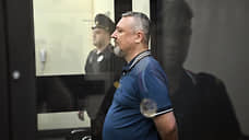 Апелляционный суд оставил в силе приговор Стрелкову