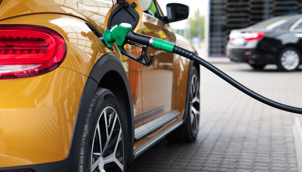 Экзотика в бензобаке: может ли биотопливо «залить» дефицит бензина в стране