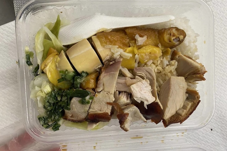 A plastic container with roast chicken and pork and rice. 