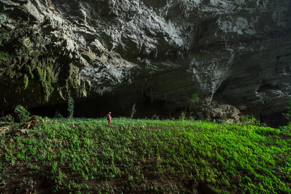 В пещере Tham Khoun есть настоящие подземные сады