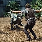 Chris Pratt in Jurassic World (2015)