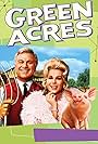 Eddie Albert, Eva Gabor, and Arnold the Piggy in Green Acres (1965)