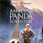 The Amazing Panda Adventure (1995)