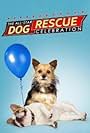 All-Star Dog Rescue Celebration (2015)