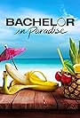 Bachelor in Paradise (2011)