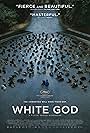 Fehér isten (2014)