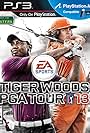 Tiger Woods PGA Tour 13 (2012)