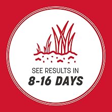 See results in 8-16 days