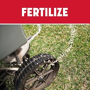 Apply a starter fertilizer.