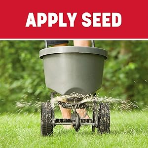 Apply grass seed.