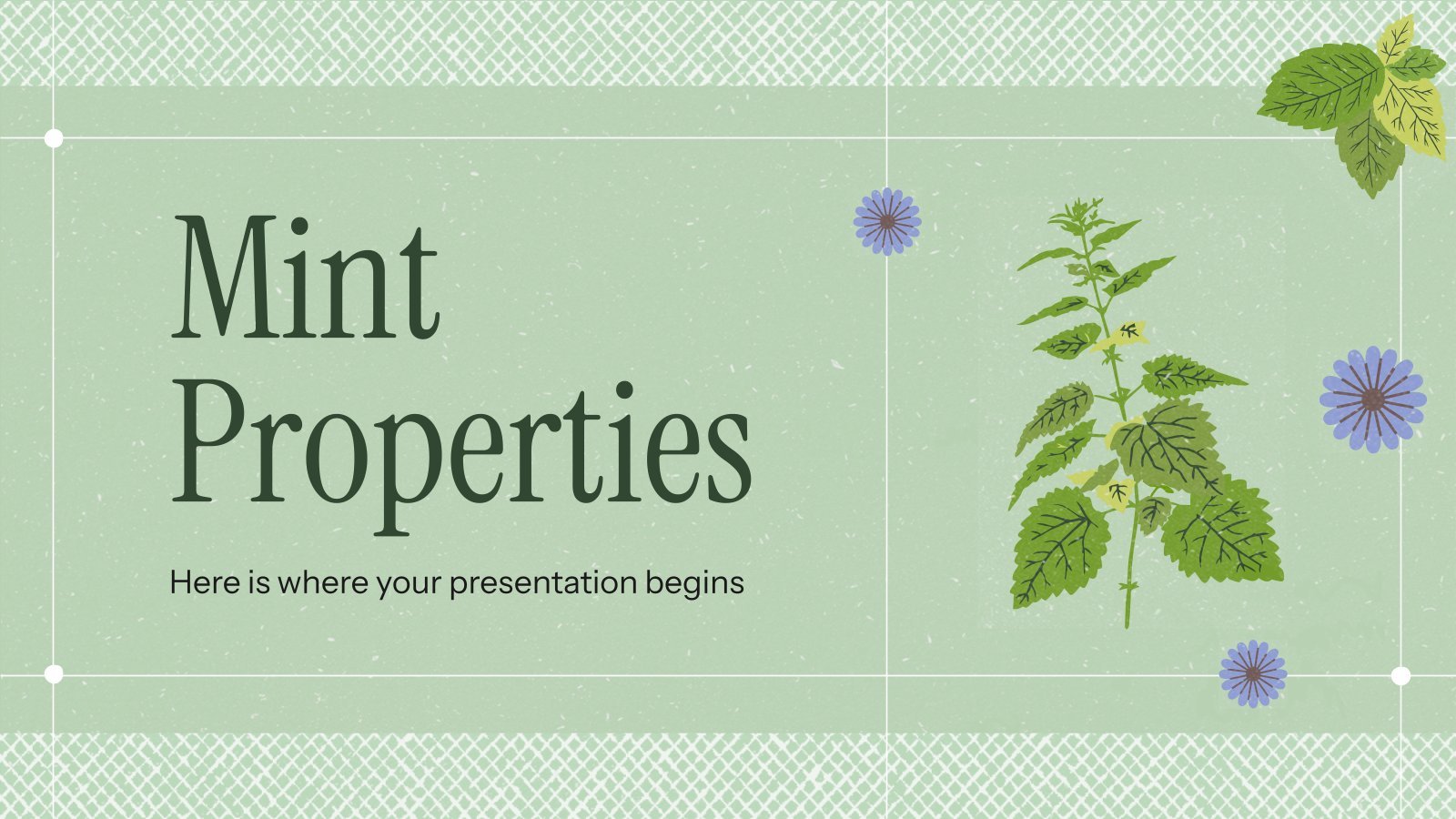 Mint Properties presentation template 