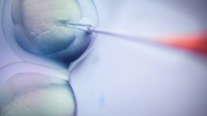 Wird der Embryonenschutz aufgeweicht?