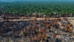 Was passiert, wenn der Amazonas vollständig verschwindet?
