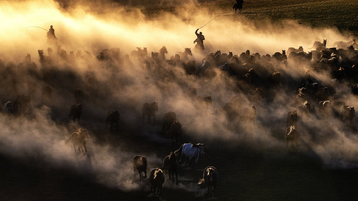 China: Reiter treiben Pferde in Chifeng in der Inneren Mongolei im Licht der untergehenden Sonne.