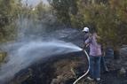Пожары на юго-западе Турции уничтожили 500 гектаров леса