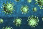Число погибших от коронавируса в Турции достигло 3 тыс. 894 человек
