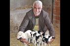 В Турции овца родила пятерых ягнят