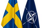 «Позволяя сжигать Коран, Швеция побуждает Турцию не одобрять ее членство в НАТО»