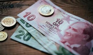 Турецкая лира обновила исторический минимум к доллару, упав до 30 лир за доллар