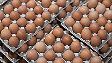 Как приготовить яйца пашот: пошаговый рецепт