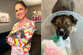 Natalie Morales Rescues a Puppy on The Talk