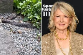Martha Stewart Shares Video of Snakes Acting strangely