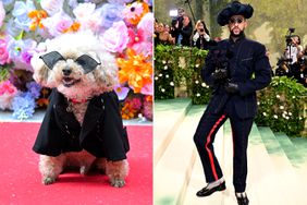 The AKC Museum of the Dog held a "pet gala" with dogs wearing recreations of looks from this year's met gala bad bunny