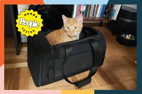 Cat in pet carrier