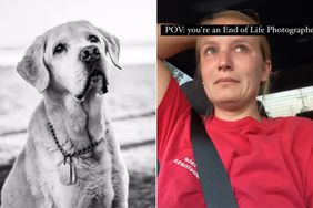 Mandy Rae Pierce end of life dog photographer