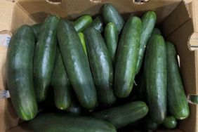 Cucumbers recalled