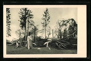Ansichtskarte Les Breuleux, Le cyclone dans le Jura Bernois 1926, Forêt détruite, Unwetter