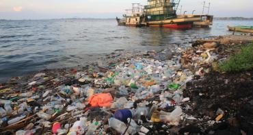 Plastic-clean-up-on-small-island-bay