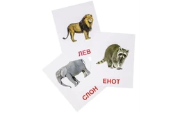 Развивающие карточки «Дикие животные» 20 карточек шт.1